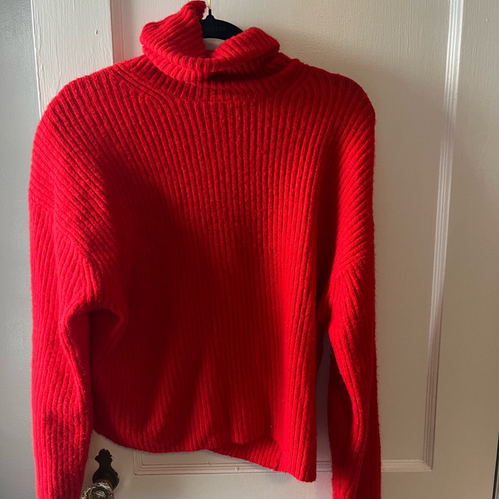 H&M Cozy Red Turtleneck Sweater